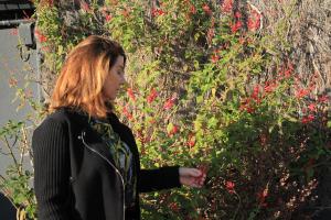 fleurs 2 - VPG - BD
